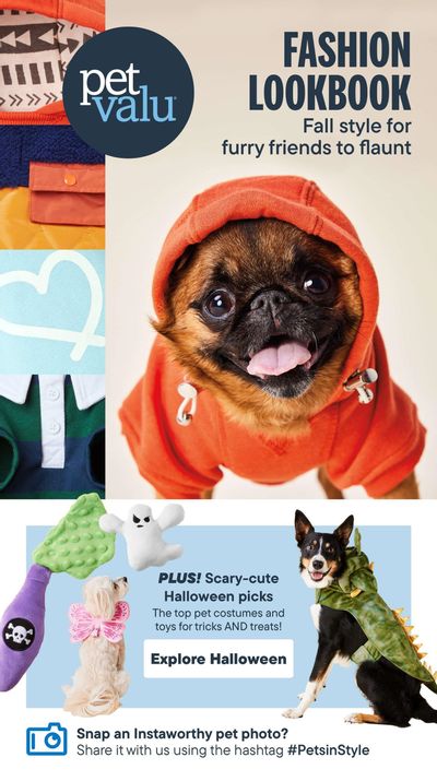 Pet Valu Fashion LookBook Flyer September 1 to November 30