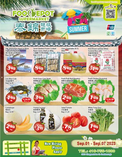 Food Depot Supermarket Flyer September 1 to 7