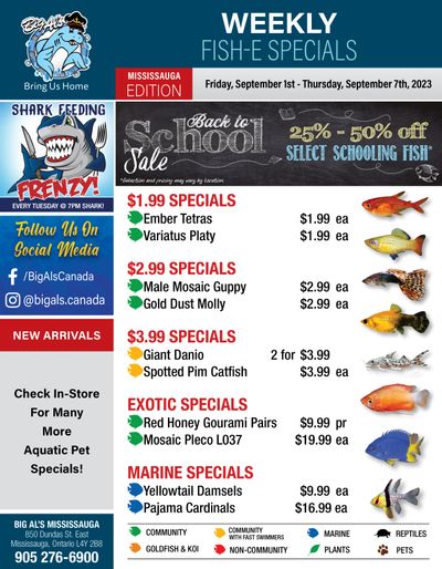 Big Al's (Mississauga) Weekly Specials September 1 to 7