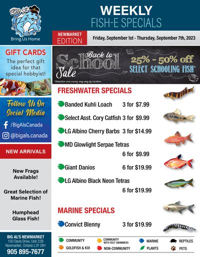 Big Al's (Newmarket) Weekly Specials September 1 to 7