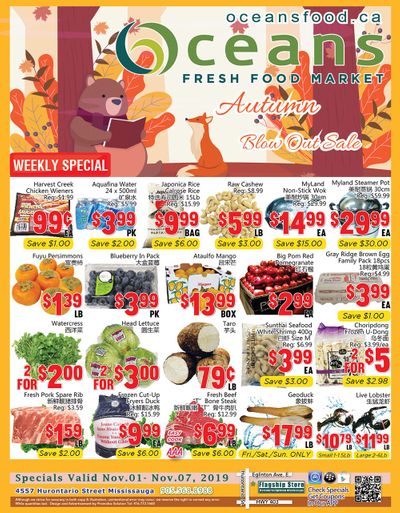 Oceans Fresh Food Market (Mississauga) Flyer November 1 to 7