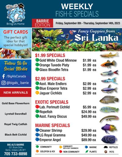 Big Al's (Brampton) Weekly Specials September 8 to 14