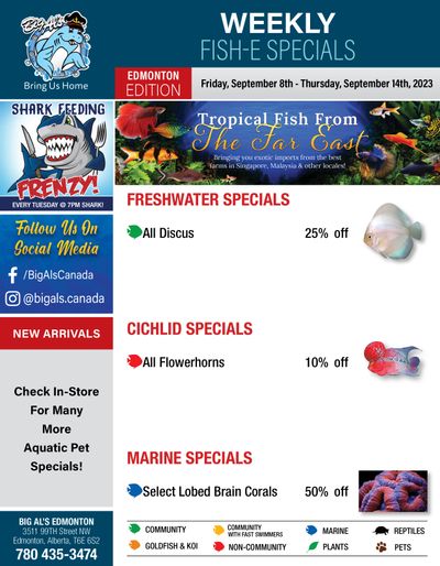 Big Al's (Edmonton) Weekly Specials September 8 to 14