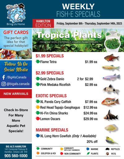 Big Al's (Hamilton) Weekly Specials September 8 to 14