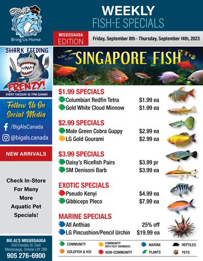 Big Al's (Mississauga) Weekly Specials September 8 to 14 Big Al's (Mississauga) Weekly Specials September 8 to 14