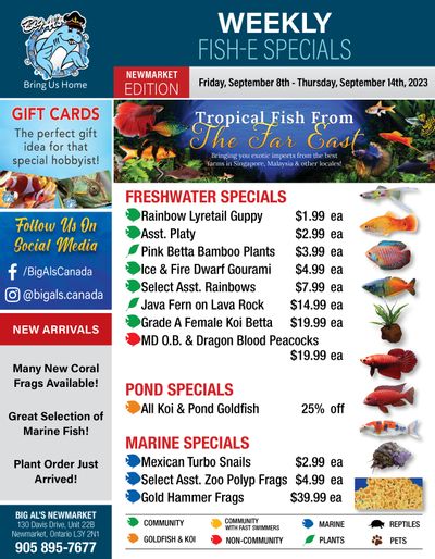 Big Al's (Newmarket) Weekly Specials September 8 to 14
