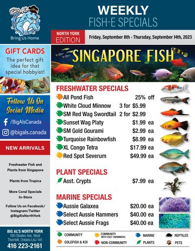 Big Al's (North York) Weekly Specials September 8 to 14
