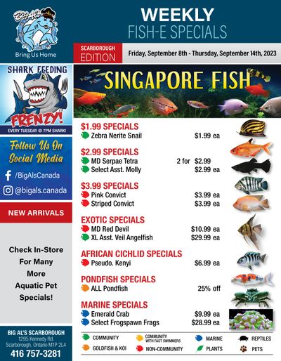 Big Al's (Scarborough) Weekly Specials September 8 to 14