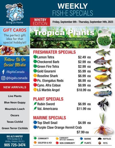 Big Al's (Whitby) Weekly Specials September 8 to 14
