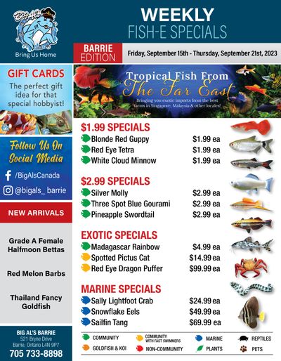 Big Al's (Barrie) Weekly Specials September 15 to 21