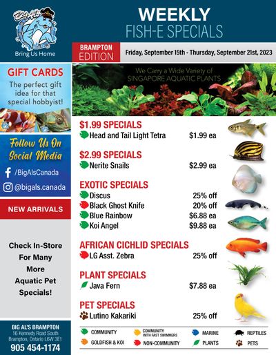 Big Al's (Brampton) Weekly Specials September 15 to 21