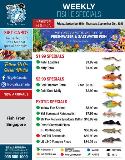 Big Al's (Hamilton) Weekly Specials September 15 to 21