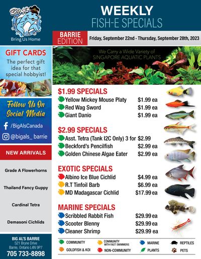 Big Al's (Barrie) Weekly Specials September 22 to 28