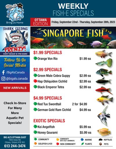 Big Al's (Ottawa East) Weekly Specials September 22 to 28