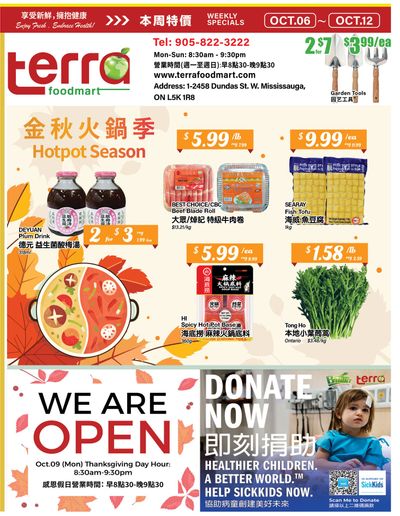 Terra Foodmart Flyer October 6 to 12