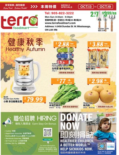 Terra Foodmart Flyer October 13 to 19