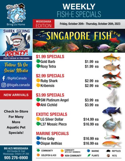 Big Al's (Mississauga) Weekly Specials October 20 to 26