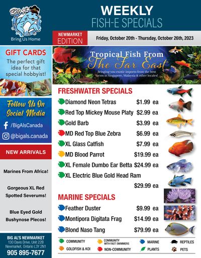 Big Al's (Newmarket) Weekly Specials October 20 to 26