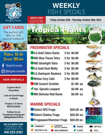 Big Al's (North York) Weekly Specials October 20 to 26