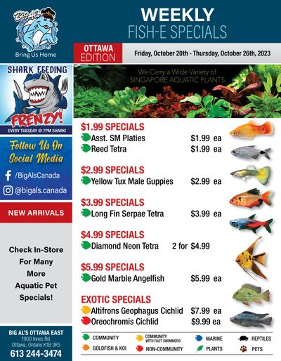 Big Al's (Ottawa East) Weekly Specials October 20 to 26