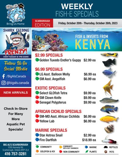 Big Al's (Scarborough) Weekly Specials October 20 to 26