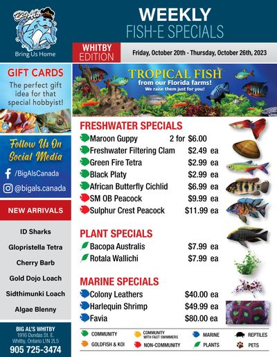 Big Al's (Whitby) Weekly Specials October 20 to 26