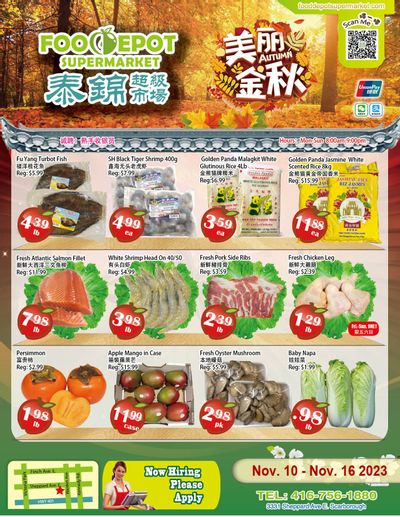 Food Depot Supermarket Flyer November 10 to 16