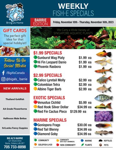 Big Al's (Barrie) Weekly Specials November 10 to 16