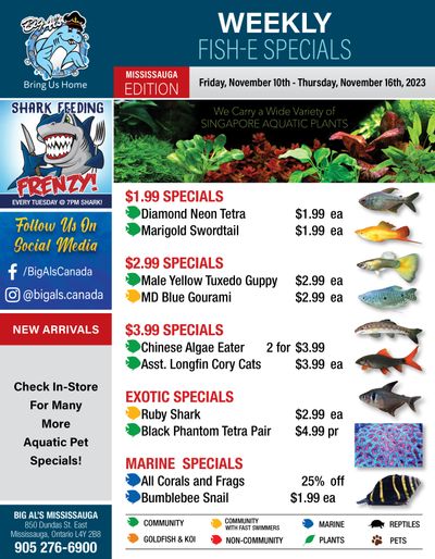 Big Al's (Mississauga) Weekly Specials November 10 to 16