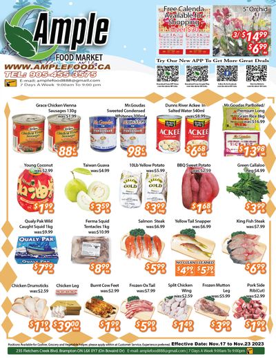 Ample Food Market (Brampton) Flyer November 17 to 23