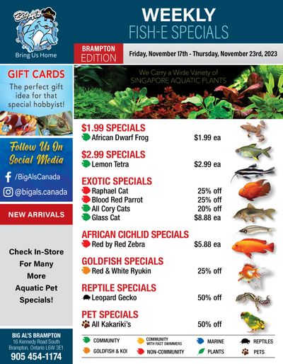 Big Al's (Brampton) Weekly Specials November 17 to 23 Big Al's (Brampton) Weekly Specials November 17 to 23