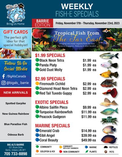 Big Al's (Barrie) Weekly Specials November 17 to 23