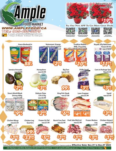 Ample Food Market (Brampton) Flyer December 1 to 7