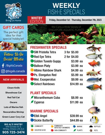 Big Al's (Whitby) Weekly Specials December 1 to 7 Big Al's (Whitby) Weekly Specials December 1 to 7