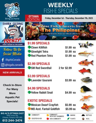 Big Al's (Ottawa East) Weekly Specials December 1 to 7
