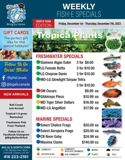 Big Al's (North York) Weekly Specials December 1 to 7
