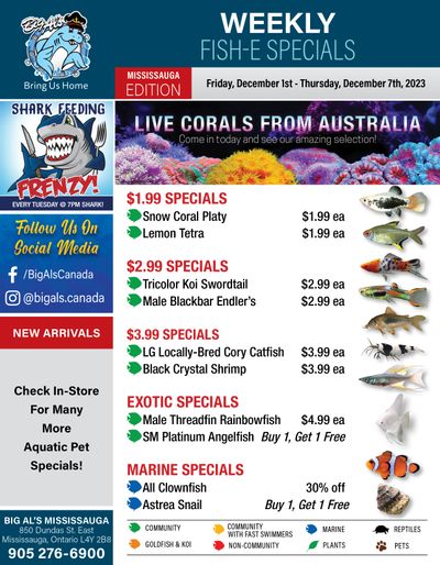 Big Al's (Mississauga) Weekly Specials December 1 to 7