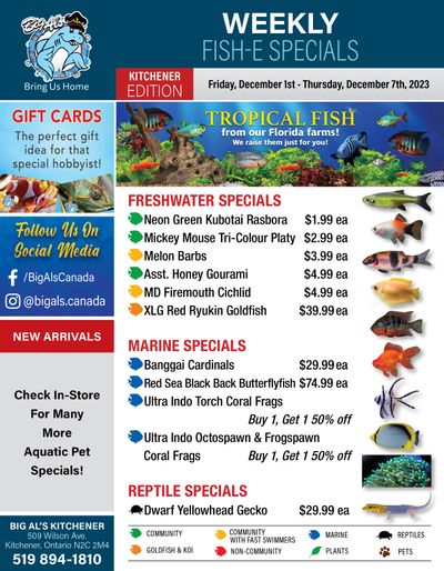 Big Al's (Kitchener) Weekly Specials December 1 to 7