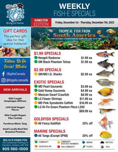 Big Al's (Hamilton) Weekly Specials December 1 to 7