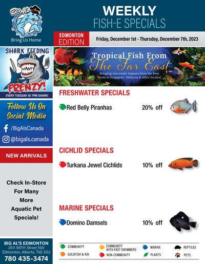 Big Al's (Edmonton) Weekly Specials December 1 to 7