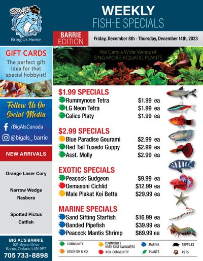 Big Al's (Barrie) Weekly Specials December 8 to 14