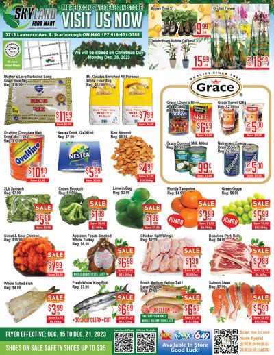 Skyland Food Mart Flyer December 15 to 21