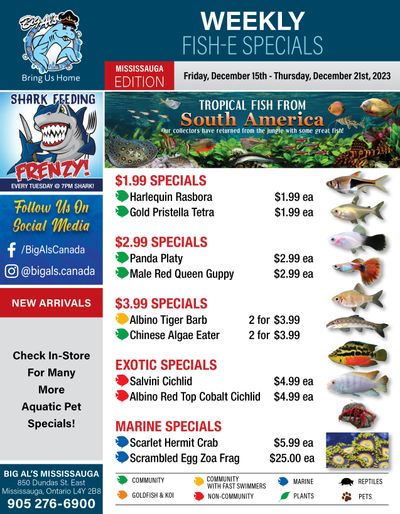 Big Al's (Mississauga) Weekly Specials December 15 to 21