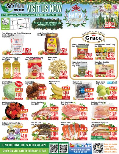 Skyland Food Mart Flyer December 22 to 28