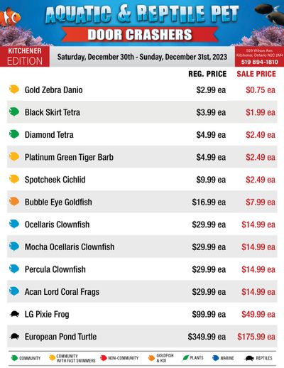 Big Al's (Kitchener) Weekly Specials December 30 and 31