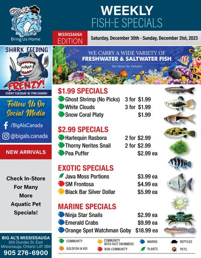 Big Al's (Mississauga) Weekly Specials December 30 and 31