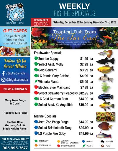 Big Al's (Newmarket) Weekly Specials December 30 and 31