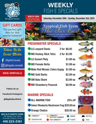 Big Al's (North York) Weekly Specials December 30 and 31 Big Al's (North York) Weekly Specials December 30 and 31