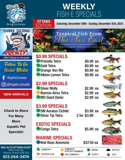 Big Al's (Ottawa East) Weekly Specials December 30 and 31