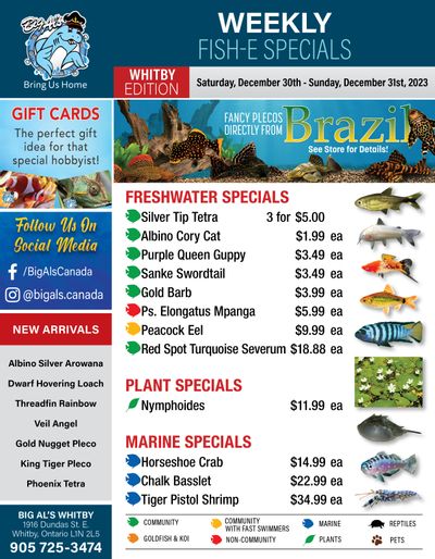 Big Al's (Whitby) Weekly Specials December 30 and 31